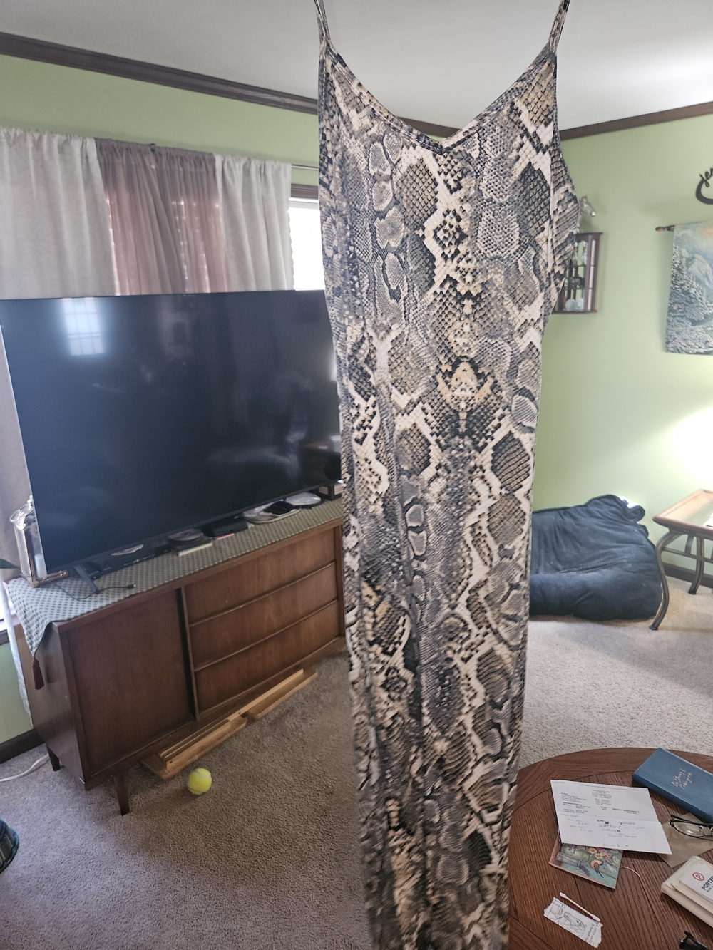 Discreet Snake-Print Maxi Slip Dress in Black and Cream